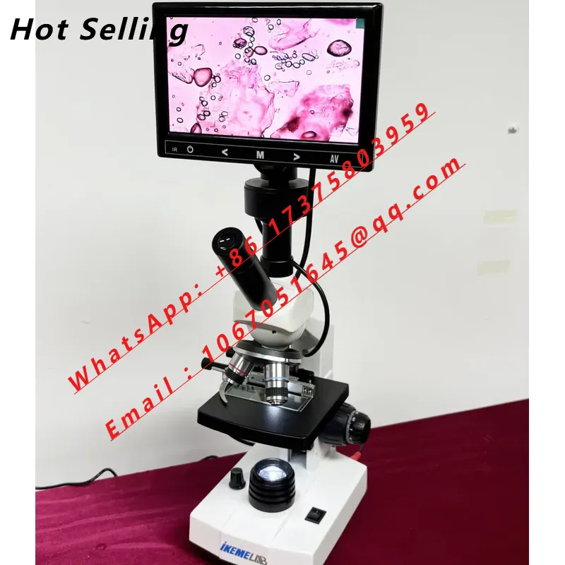 Medical Lab Microscope - WEIAIは、学生向けのHDスクリーンLEDライト付きデジタル40-1600倍率ラボ医療用細胞生物双眼顕微鏡を販売しています。