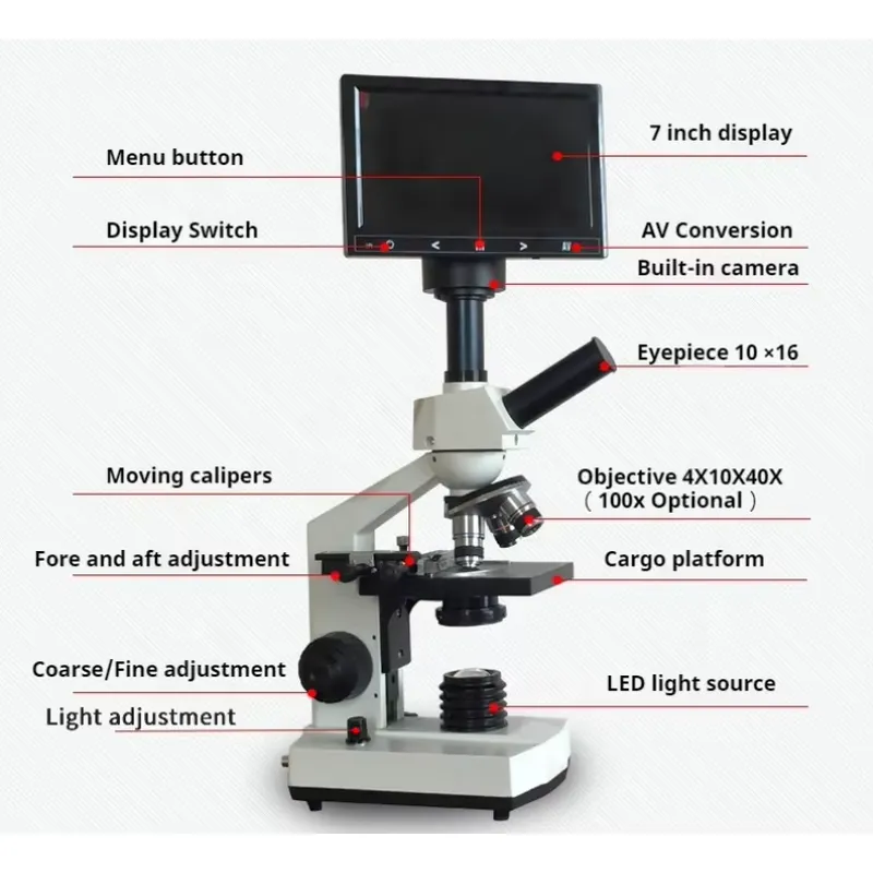 WEIAIは、学生向けのHDスクリーンLEDライト付きデジタ - Medical Lab Microscope のレビューと価格