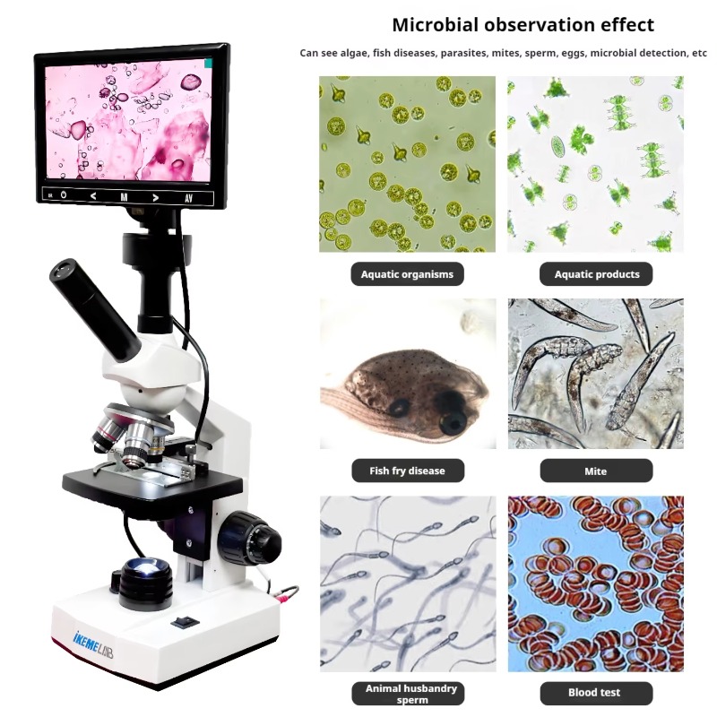 HDスクリーンデジタル顕微鏡双眼生物顕微鏡400倍セル生物学 - Medical Lab Microscope のレビューと価格