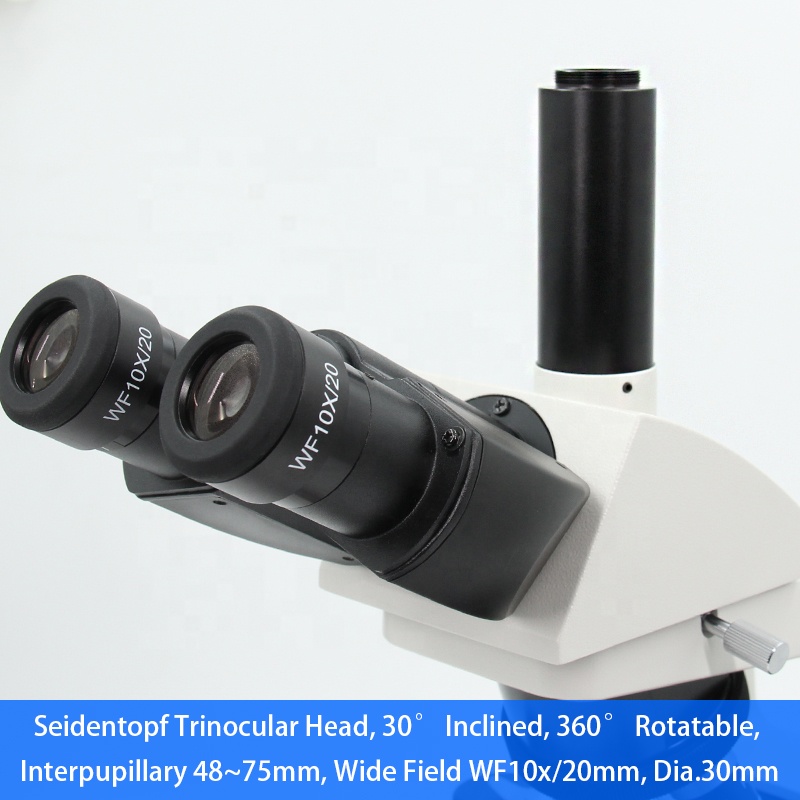 40倍～1000倍無限遠光学系三眼式医療用実体顕微鏡 - Medical Lab Microscope のレビューと価格