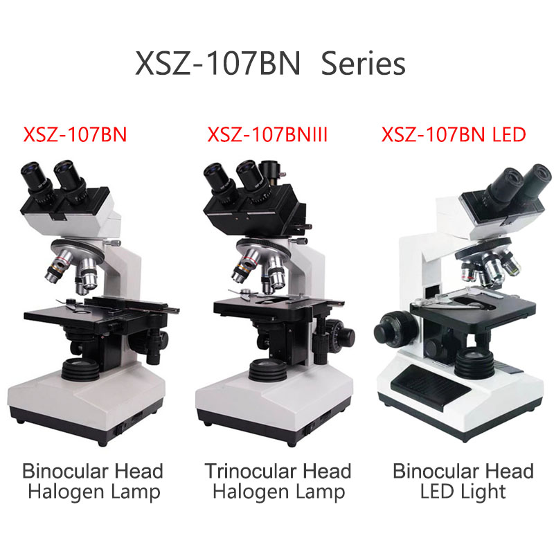 Xsz-107bn 電子実験室複合生物双眼医療歯科ラボ顕微鏡 - Medical Lab Microscope のレビューと価格