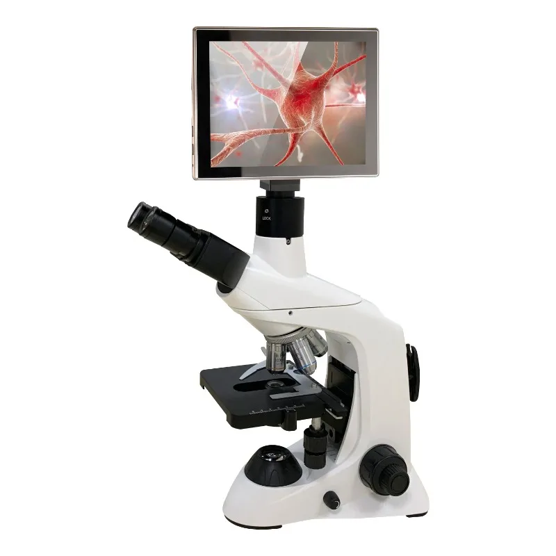 2026年新型ステンレス製医療ラボ生物顕微鏡、臨床検査および - Medical Lab Microscope のレビューと価格