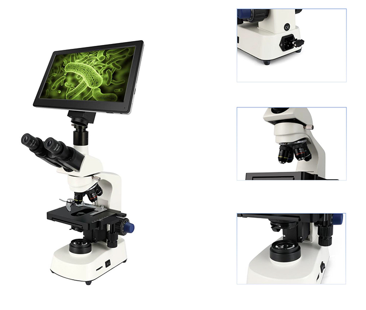 HC-B079A 格安顕微鏡 医療研究所向け電動双眼顕微鏡 - Medical Lab Microscope のレビューと価格