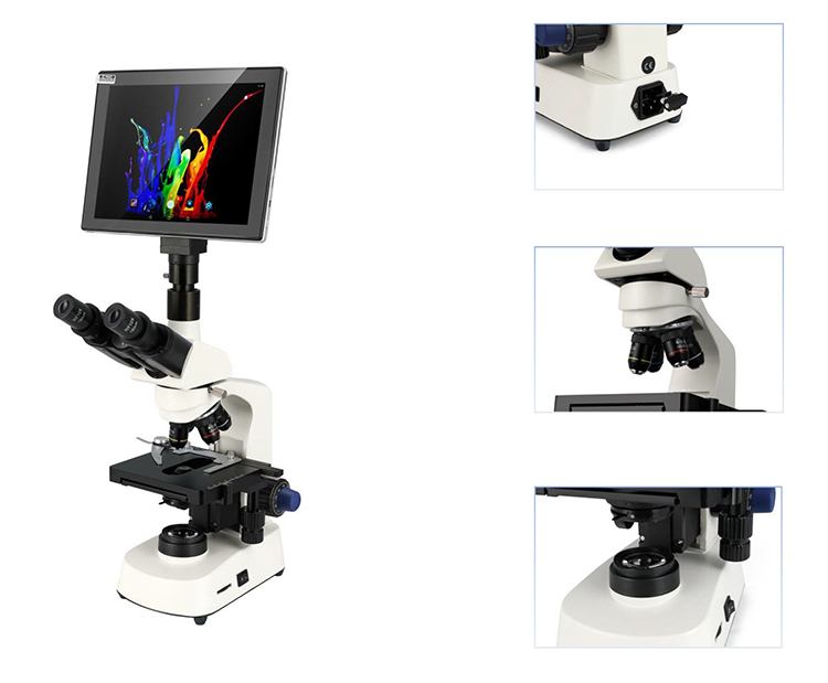HC-B079A 格安顕微鏡 医療研究所向け電動双眼顕微鏡 - Medical Lab Microscope のレビューと価格